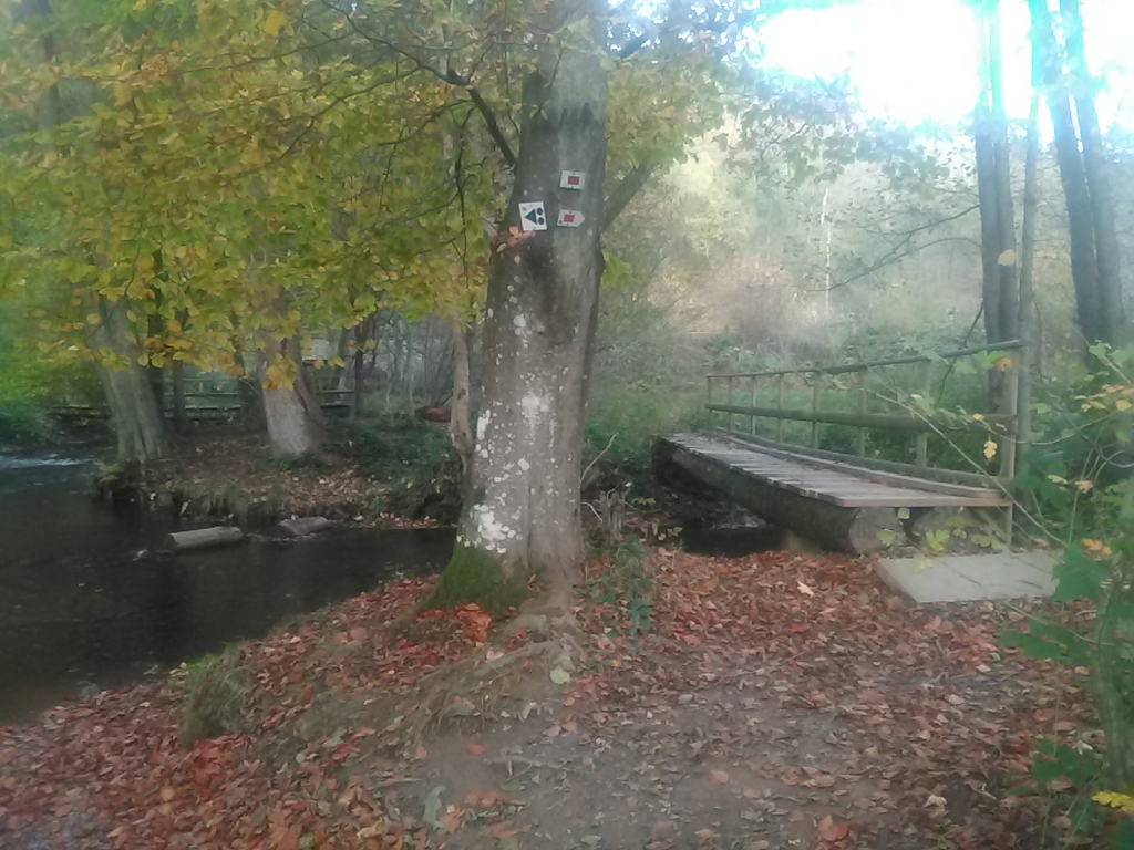 Passerelle de l’Alu